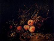 Rachel Ruysch Still-Life with Fruit and Insects oil painting on canvas